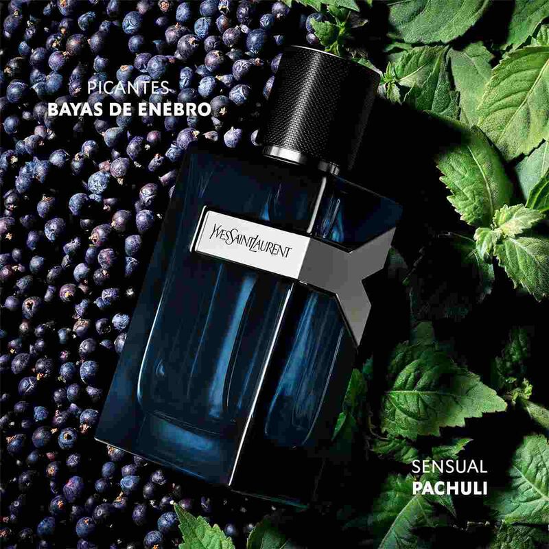 YSL Eau de Parfum Intense (100ml)
