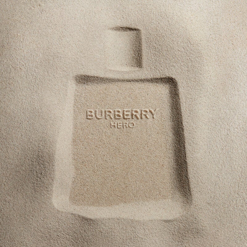 Burberry Hero Eau de Toilette (100ml)