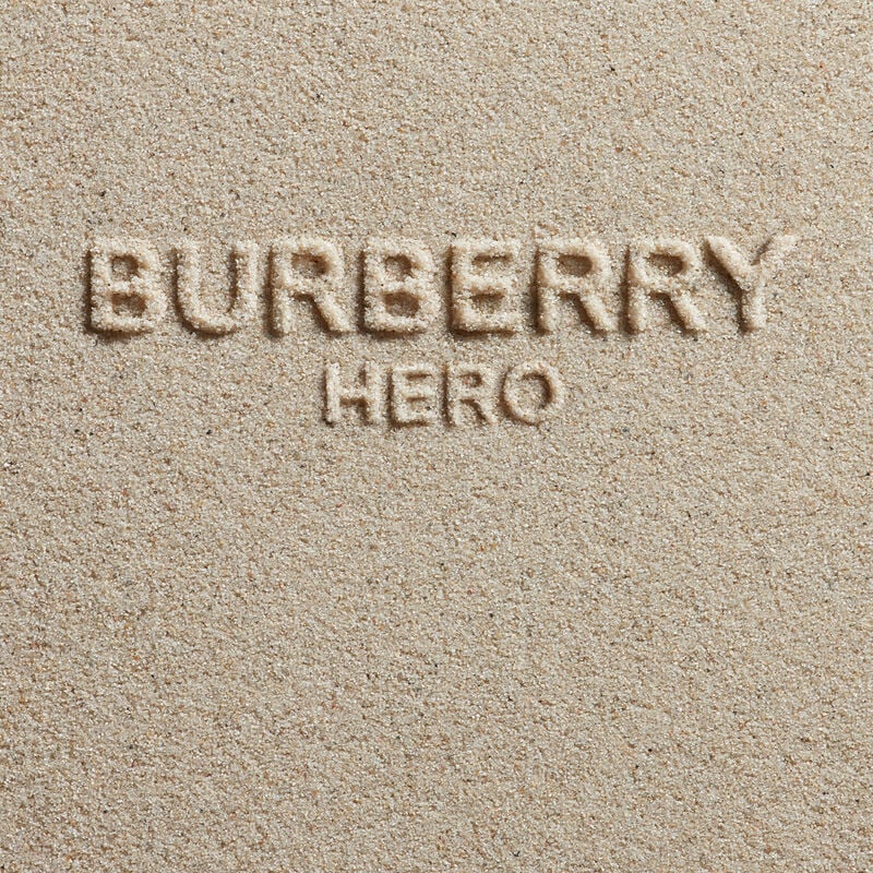 Burberry Hero Eau de Toilette (100ml)
