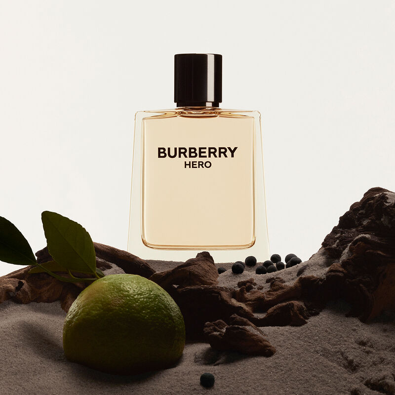 Burberry Hero Eau de Toilette (100ml)