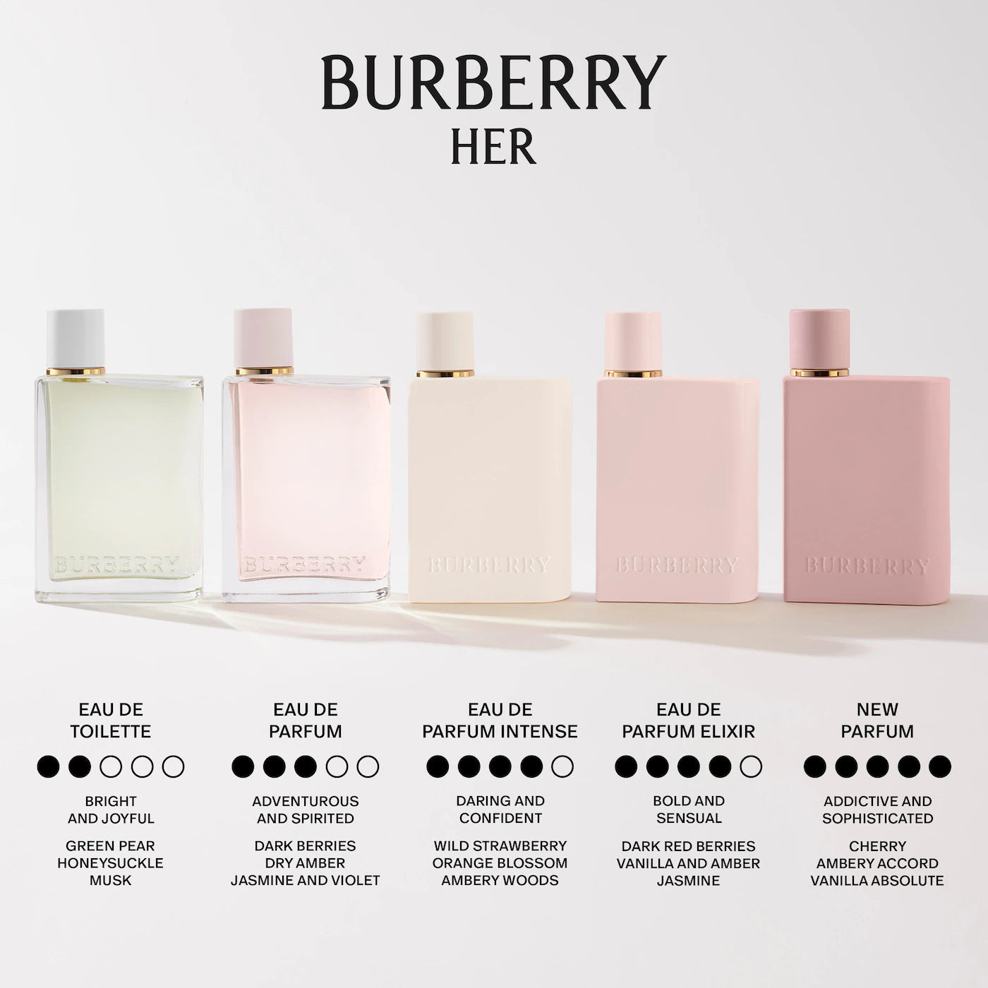 Burberry Her Eau de Parfum (100ml)