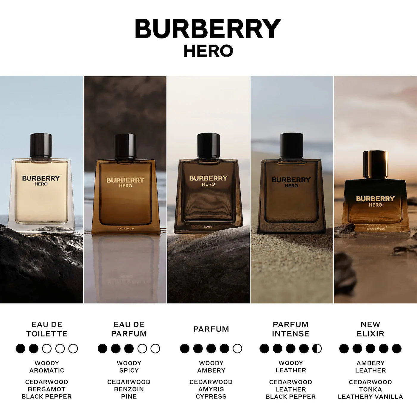 Burberry Hero Eau de Toilette (100ml)